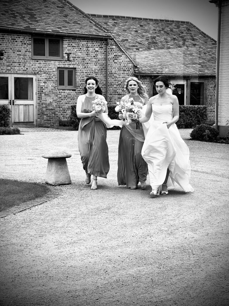 Bridesmaids and Bride