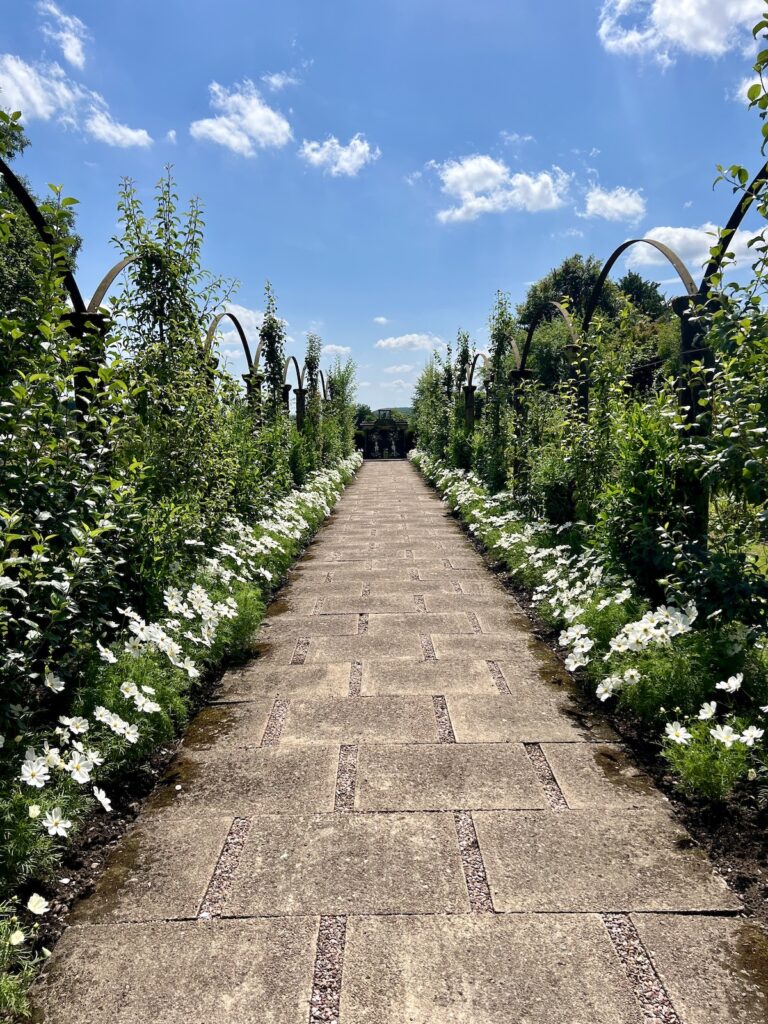 Bridal entrance walk through flowers