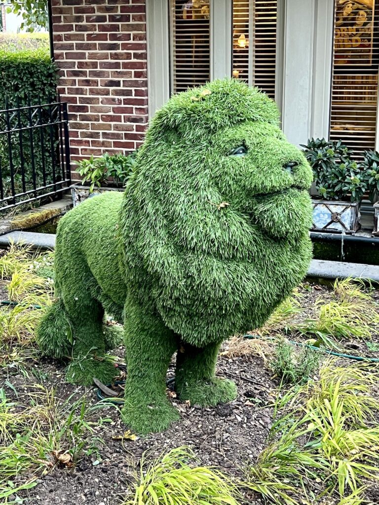 Grass Lion