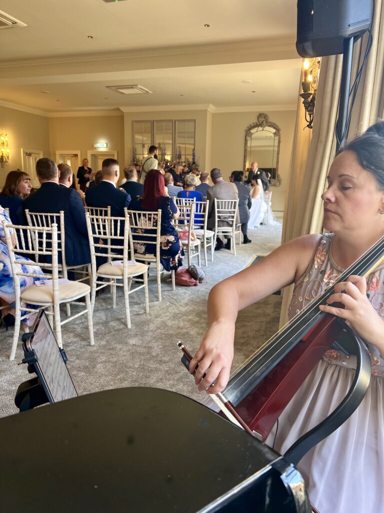 Cellist at Tickton Grange