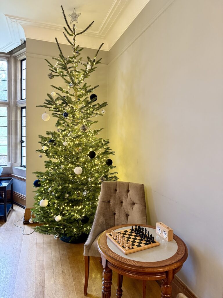 Christmas Tree and Board Games at Coombe Lodge in Blagdon, Somerset