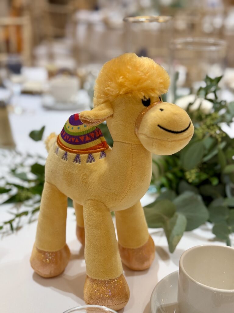 Wedding Camel at Sherbrooke Castle Hotel in Glasgow.